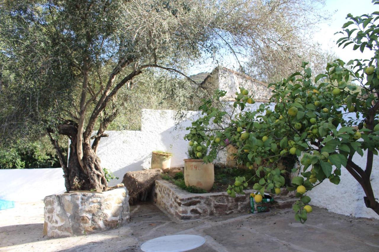 Cortijo El Puente Guest House Vinuela Bagian luar foto